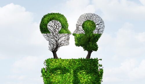 Cognitive Dissonance and Rationalization as logical reasoning or mental illness as a troubled mind and brain conflict as a tree shaped as a human head with 3D illustration elements