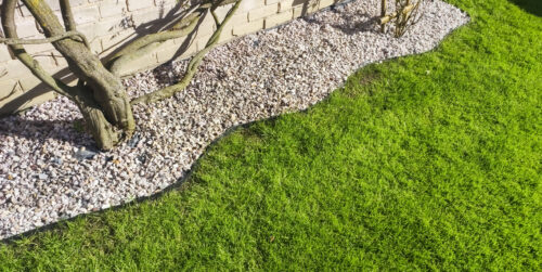 Lush green lawn with an edging of small garden stones