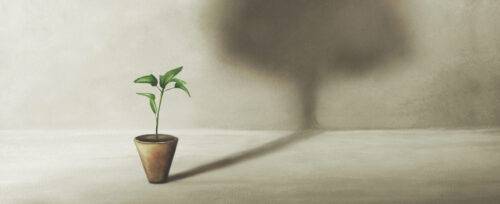 birth of a small plant with surreal shadow of a large tree, concept of life