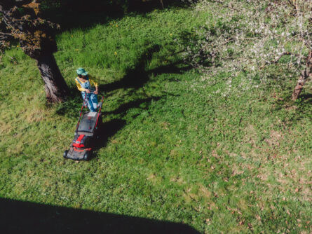 drone view on woman mowing meadow with red wireless battery lawn mower